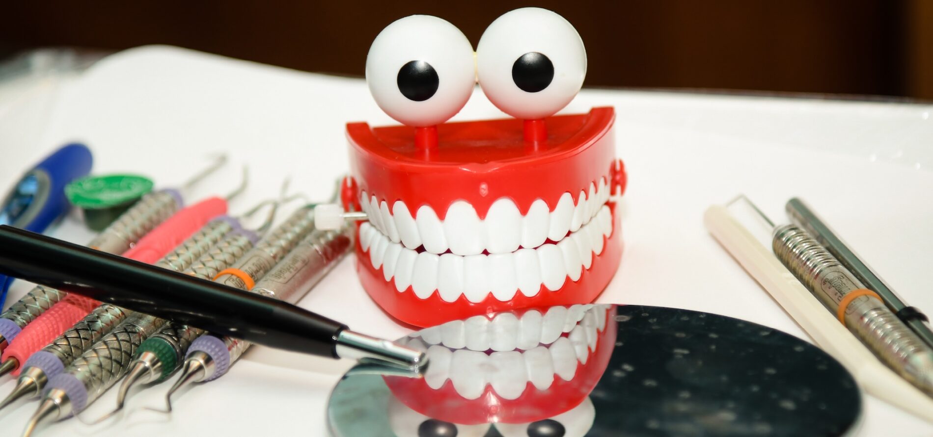 Dental Providers Nasson Health Care